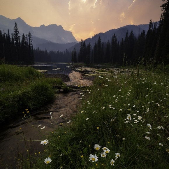 Anthropologie, Free People, and Vintage - Picture 3 of 3